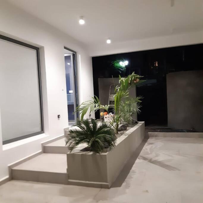 Palm Villas Sainte-Anne  Kültér fotó